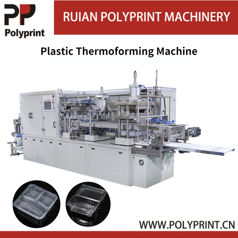 Automatic PP/PS/PET/PVC/PLA Egg Tray Meal Plate Forming Machine